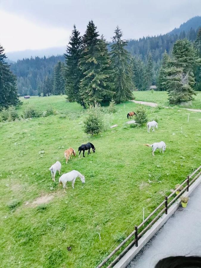Deer Lake 521 At Oak Residence Hotel & Relax Smolyan Ngoại thất bức ảnh