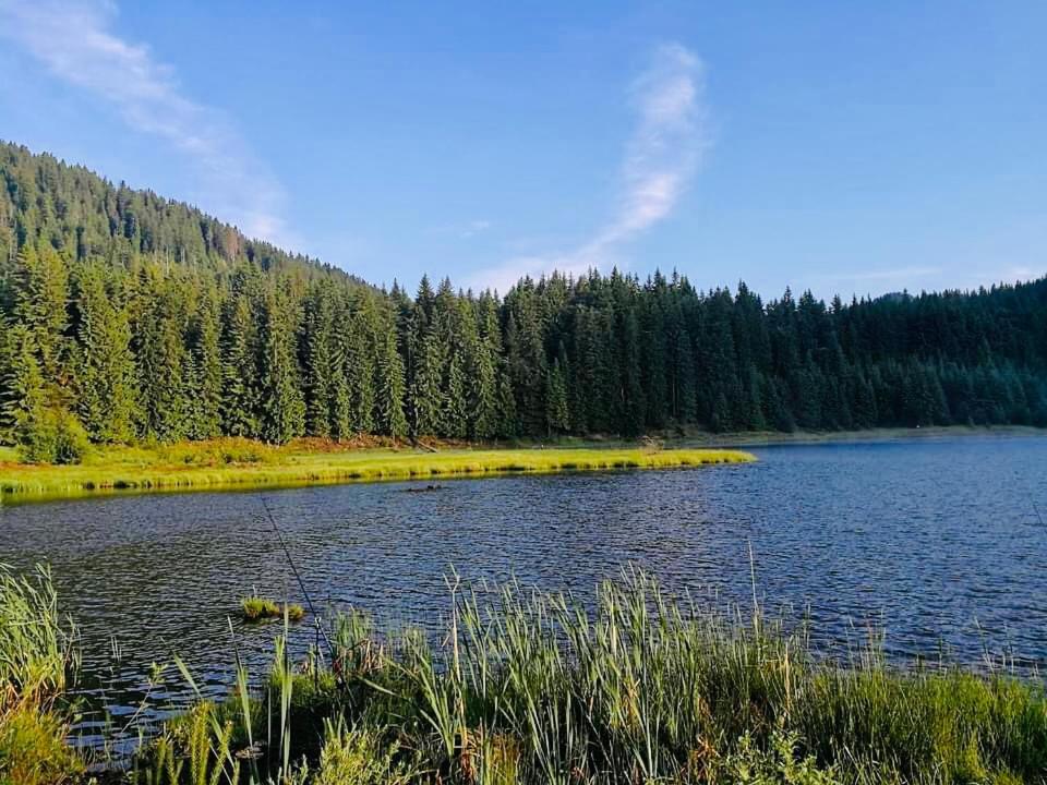 Deer Lake 521 At Oak Residence Hotel & Relax Smolyan Ngoại thất bức ảnh